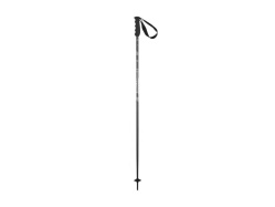 ELAN SPEEDROD BLACK sjezdové hole 23/24 black