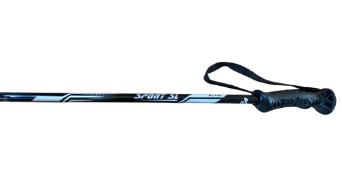 detail V3TEC SPORT SL JR dětské sjezdové hole černá/šedá B