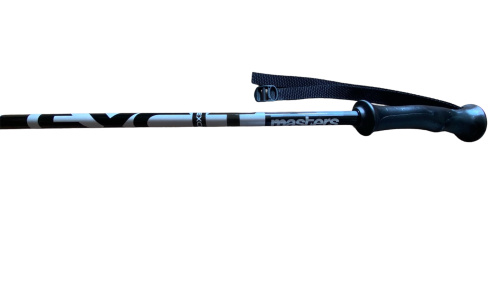 detail MASTERS EXCITE JR dětské sjezdové hole black/silver B