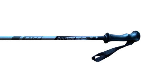 detail MASTERS RACE JR dětské sjezdové hole šedá/černá B