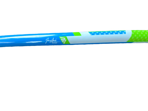 detail MASTERS SPEED JR dětské lyžařské hole zelená/modrá B