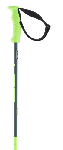 detail ELAN LITEROD GREEN sjezdové hole 20/21