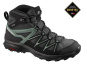 náhled SALOMON DAINTREE MID GTX pánské trekové boty