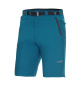 náhled Kraťasy pánské DIRECT ALPINE VULCAN SHORT 1.0 petrol