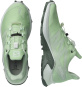 náhled SALOMON SUPERCROSS 3 W dámská obuv patina green/white/duck green
